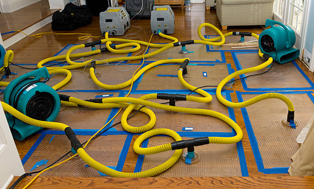 Professional Water Damage Repair technician working in Huntington, NY